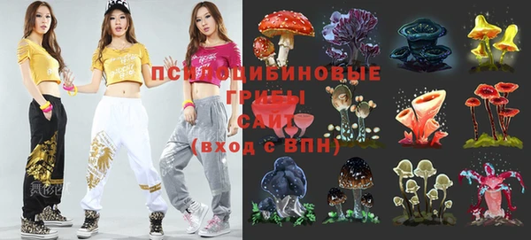 дурь Алексеевка