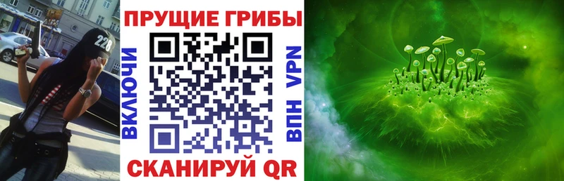 закладки  Йошкар-Ола  Галлюциногенные грибы GOLDEN TEACHER 