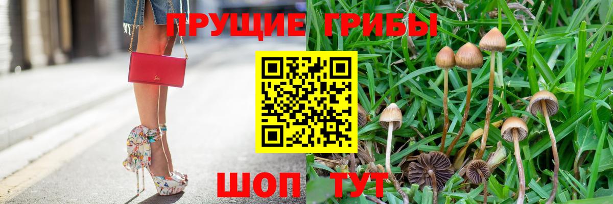 Йошкар-Ола  Галлюциногенные грибы мицелий  Вход с VPN 